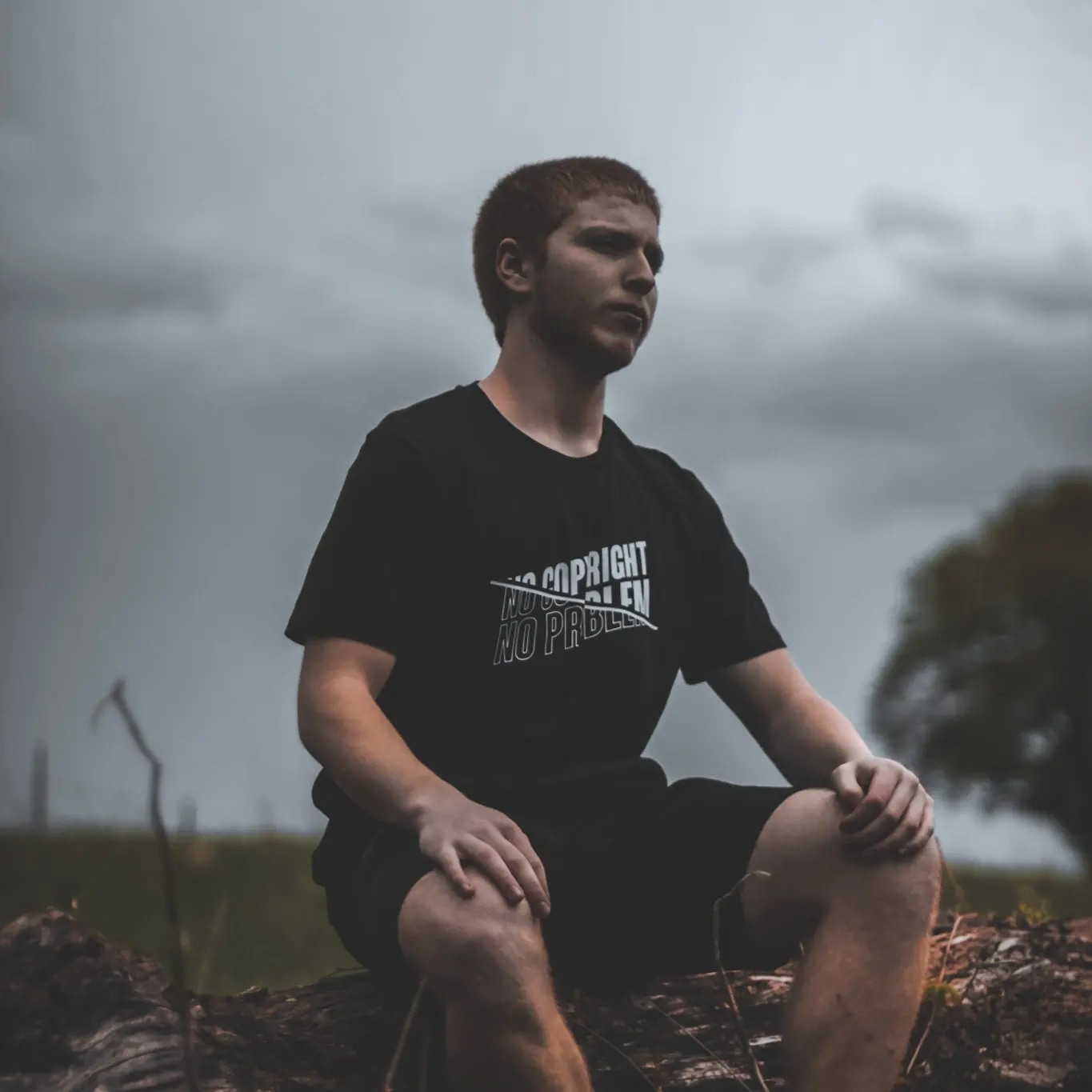 Sam sitting on a log.